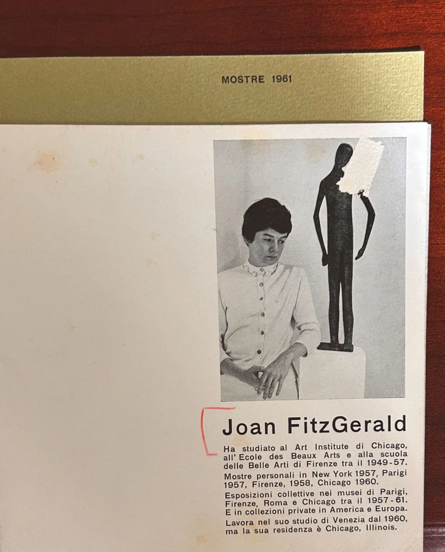 Modern Art in Irish America: The Works of Joan Fitzgerald